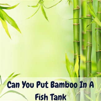 can you put bamboo in a fish tank