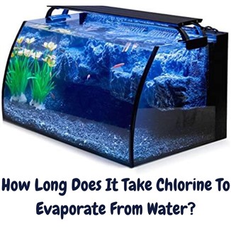 how long does it take chlorine to evaporate from water