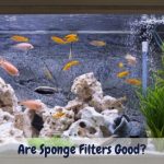 Are sponge filters good