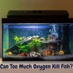 Can too much oxygen kill fish