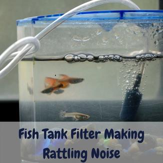 Fish tank filter making rattling noise