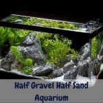 Half Gravel Half Sand Aquarium