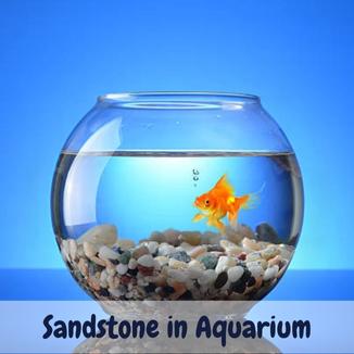 Sandstone in aquarium