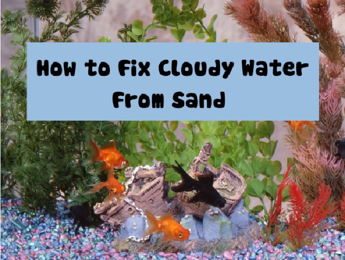 How To Fix Cloudy Water From Sand