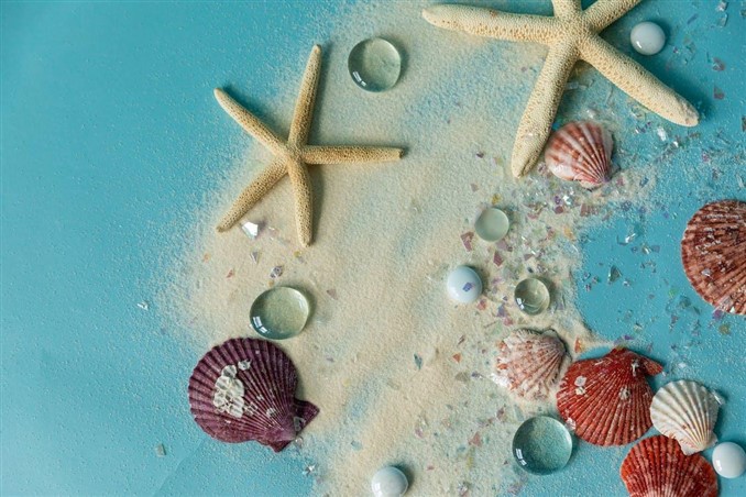 seashells and decorations